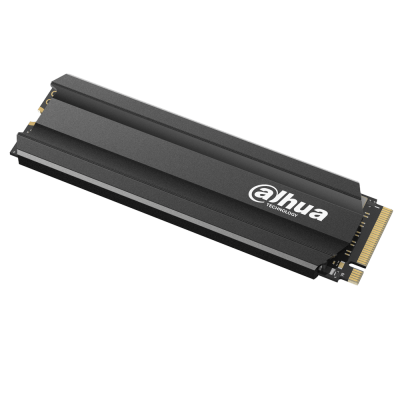 1 ТБ Dahua E900