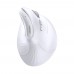 UGREEN MU008 Ergonomic Белая